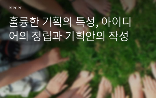 훌륭한 기획의 특성, 아이디어의 정립과 기획안의 작성