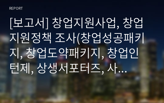 [보고서] 창업지원사업, 창업지원정책 조사(창업성공패키지, 창업도약패키지, 창업인턴제, 상생서포터즈, 사회적기업가 육성사업)