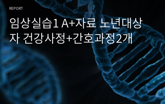 임상실습1 A+자료 노년대상자 건강사정+간호과정2개