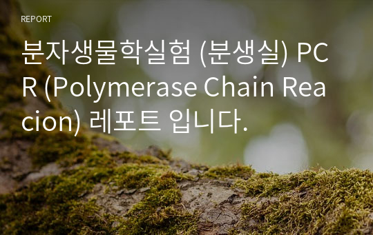 분자생물학실험 (분생실) PCR (Polymerase Chain Reacion) 레포트 입니다.