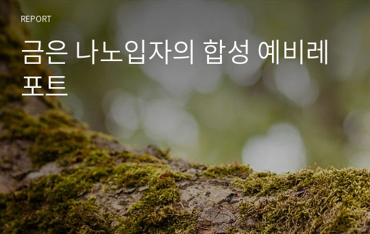 금은 나노입자의 합성 예비레포트