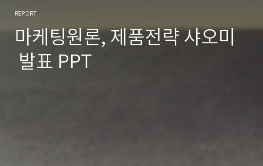 마케팅원론, 제품전략 샤오미 발표 PPT