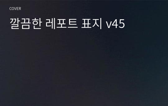 깔끔한 레포트 표지 v45