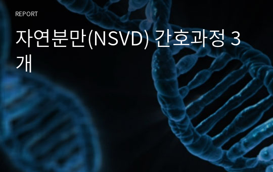 자연분만(NSVD) 간호과정 3개