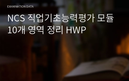 NCS 직업기초능력평가 모듈 10개 영역 정리 HWP