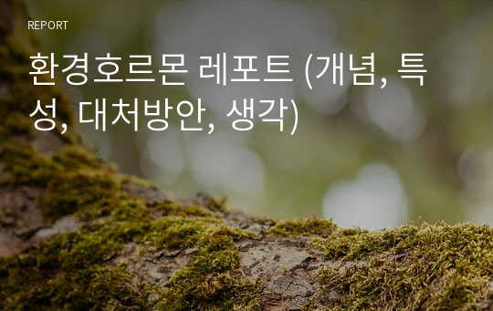 환경호르몬 레포트 (개념, 특성, 대처방안, 생각)