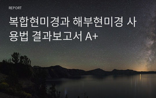 복합현미경과 해부현미경 사용법 결과보고서 A+