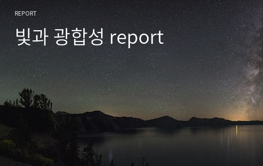 빛과 광합성 report