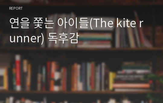 연을 쫓는 아이들(The kite runner) 독후감