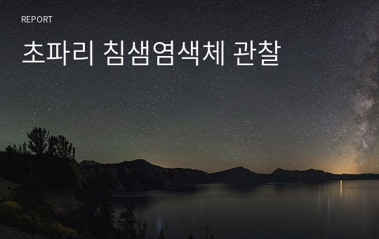 초파리 침샘염색체 관찰