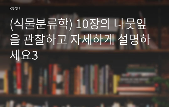 (식물분류학) 10장의 나뭇잎을 관찰하고 자세하게 설명하세요3