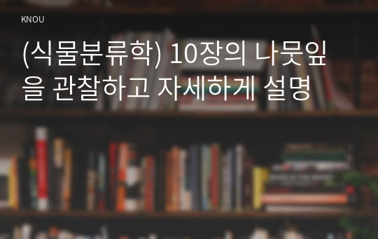 (식물분류학) 10장의 나뭇잎을 관찰하고 자세하게 설명