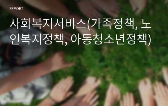 사회복지서비스(가족정책, 노인복지정책, 아동청소년정책)