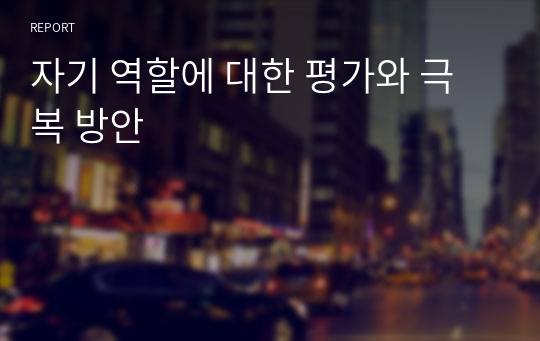 자기 역할에 대한 평가와 극복 방안