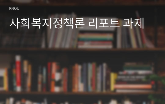 사회복지정책론 리포트 과제