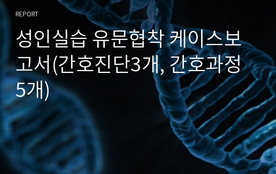 성인실습 유문협착 케이스보고서(간호진단3개, 간호과정 5개)