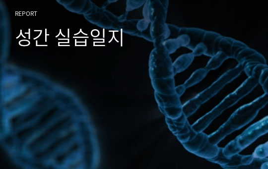 성간 실습일지