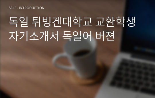 독일 튀빙겐대학교 교환학생 자기소개서 독일어 버젼