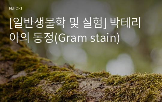 [일반생물학 및 실험] 박테리아의 동정(Gram stain)