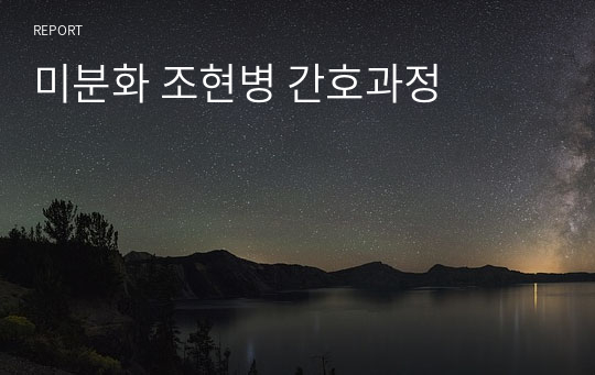 미분화 조현병 간호과정