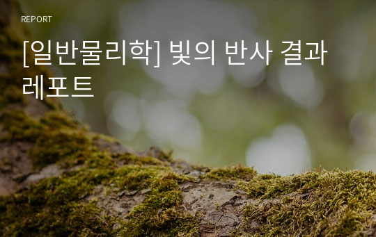 [일반물리학] 빛의 반사 결과 레포트