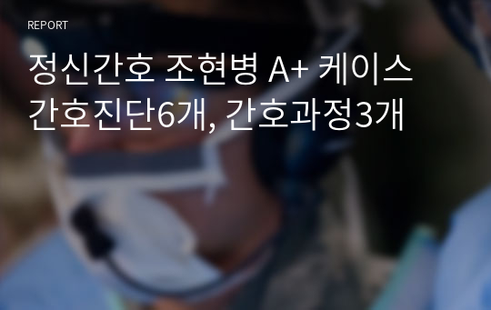 정신간호 조현병 A+ 케이스 간호진단6개, 간호과정3개