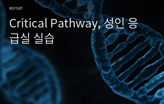 Critical Pathway, 성인 응급실 실습