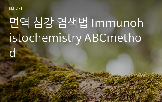 면역 침강 염색법 Immunohistochemistry ABCmethod