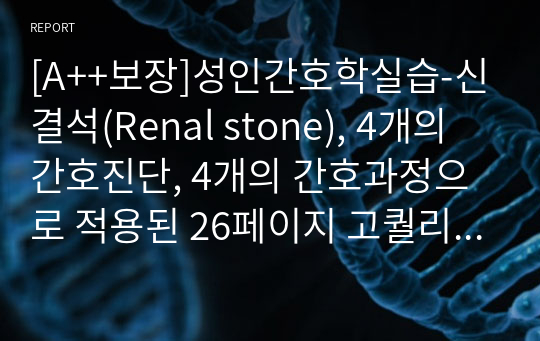 [A++보장]성인간호학실습-신결석(Renal stone), 4개의 간호진단, 4개의 간호과정으로 적용된 26페이지 고퀄리티 자료입니다. #성인간호학실습 #신결석 #Renal stone #renalstone #A+보장 #신결석 간호과정 #신결석 간호진단