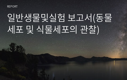 일반생물및실험 보고서(동물세포 및 식물세포의 관찰)