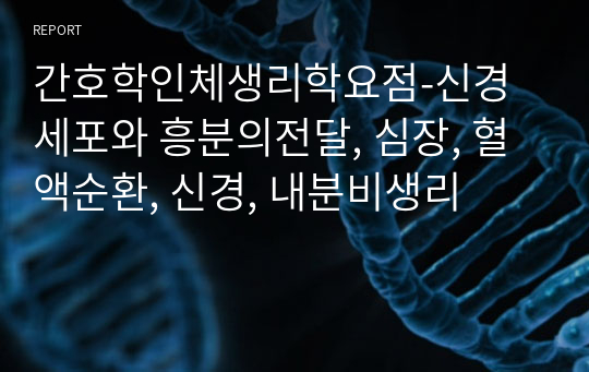 간호학인체생리학요점-신경세포와 흥분의전달, 심장, 혈액순환, 신경, 내분비생리