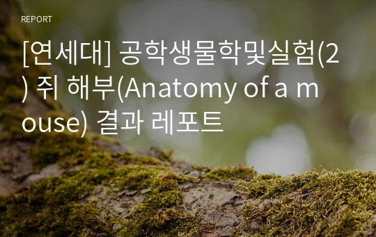 [연세대] 공학생물학및실험(2) 쥐 해부(Anatomy of a mouse) 결과 레포트