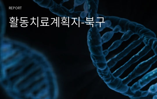 활동치료계획지-북구