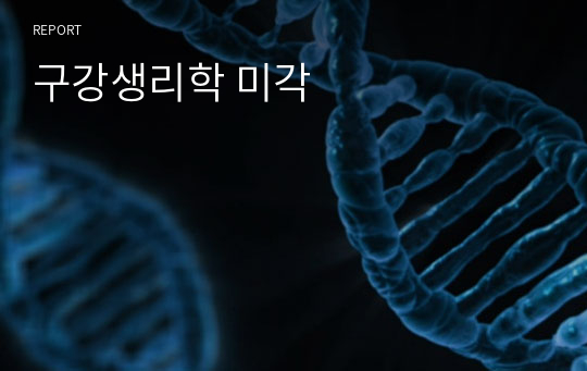 구강생리학 미각