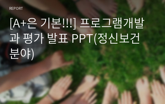 [A+은 기본!!!] 프로그램개발과 평가 발표 PPT(정신보건 분야)