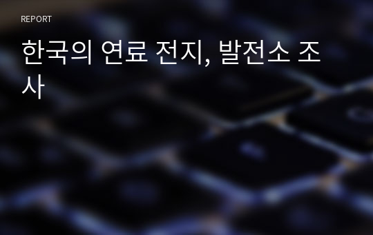 한국의 연료 전지, 발전소 조사