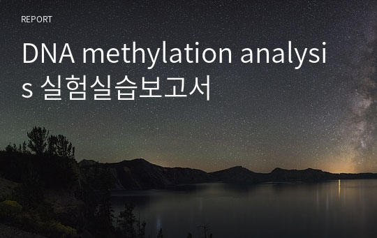 DNA methylation analysis 실험실습보고서