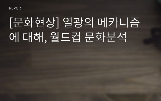 [문화현상] 열광의 메카니즘에 대해, 월드컵 문화분석