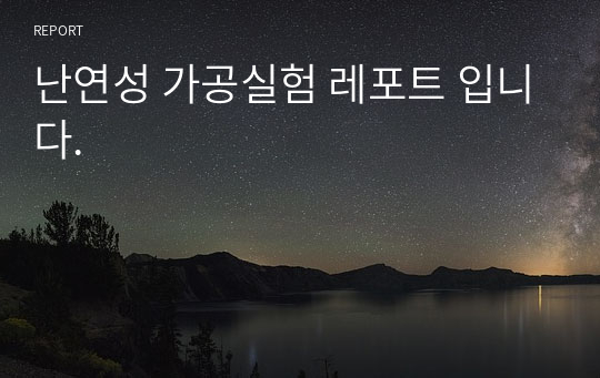 난연성 가공실험 레포트 입니다.