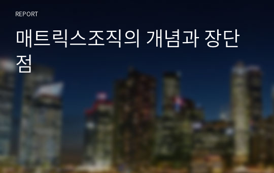 매트릭스조직의 개념과 장단점