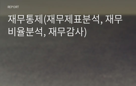 재무통제(재무제표분석, 재무비율분석, 재무감사)