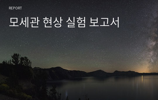 모세관 현상 실험 보고서