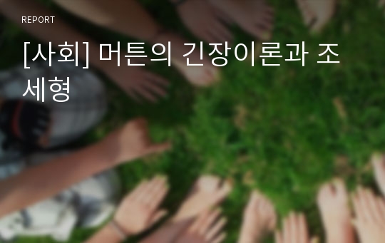 [사회] 머튼의 긴장이론과 조세형