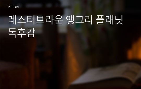 레스터브라운 앵그리 플래닛 독후감