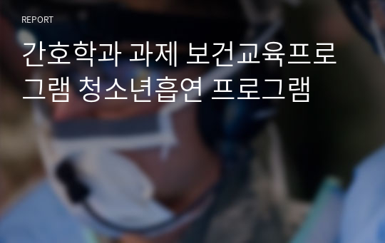 간호학과 과제 보건교육프로그램 청소년흡연 프로그램