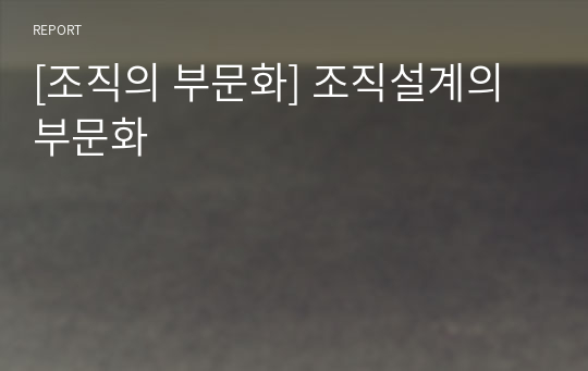 [조직의 부문화] 조직설계의 부문화