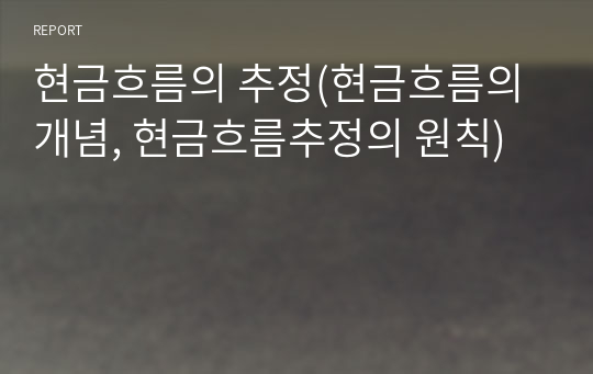 현금흐름의 추정(현금흐름의 개념, 현금흐름추정의 원칙)