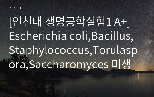 [인천대 생명공학실험1 A+] Escherichia coli,Bacillus,Staphylococcus,Torulaspora,Saccharomyces 미생물관찰 실험 결과보고서