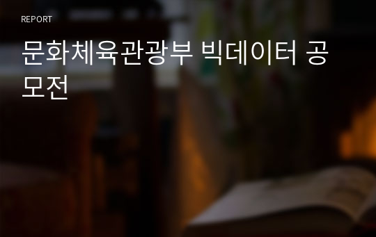 문화체육관광부 빅데이터 공모전