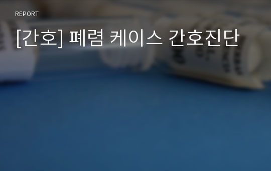 [간호] 폐렴 케이스 간호진단